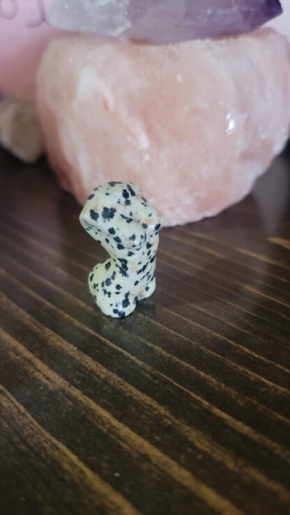 Dalmation Jasper Bust