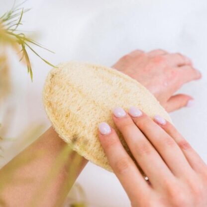 All Natural Loofah Sponge Oval