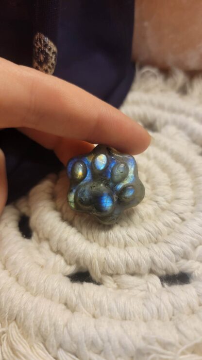 Labradorite Paw Print